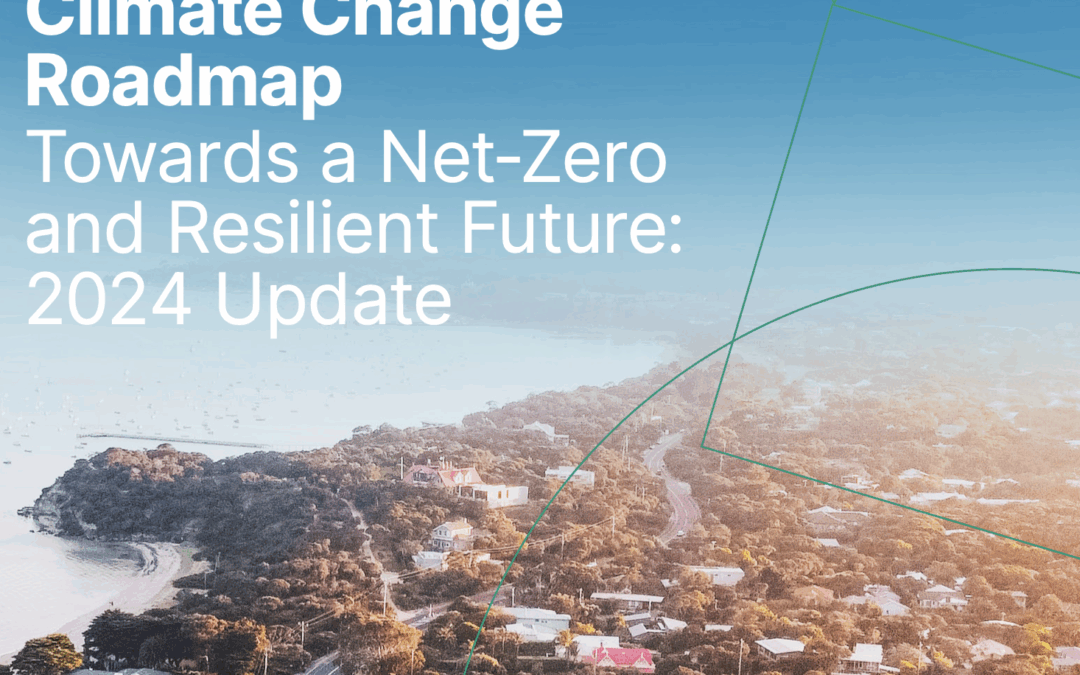 Net Zero en Assurance: La Maestria des Assureurs Dommages Australiens !