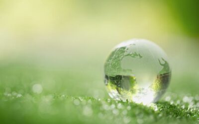 📢 L’EFRAG publie aujourd’hui les projets révisés des normes européennes d’information ESRS!