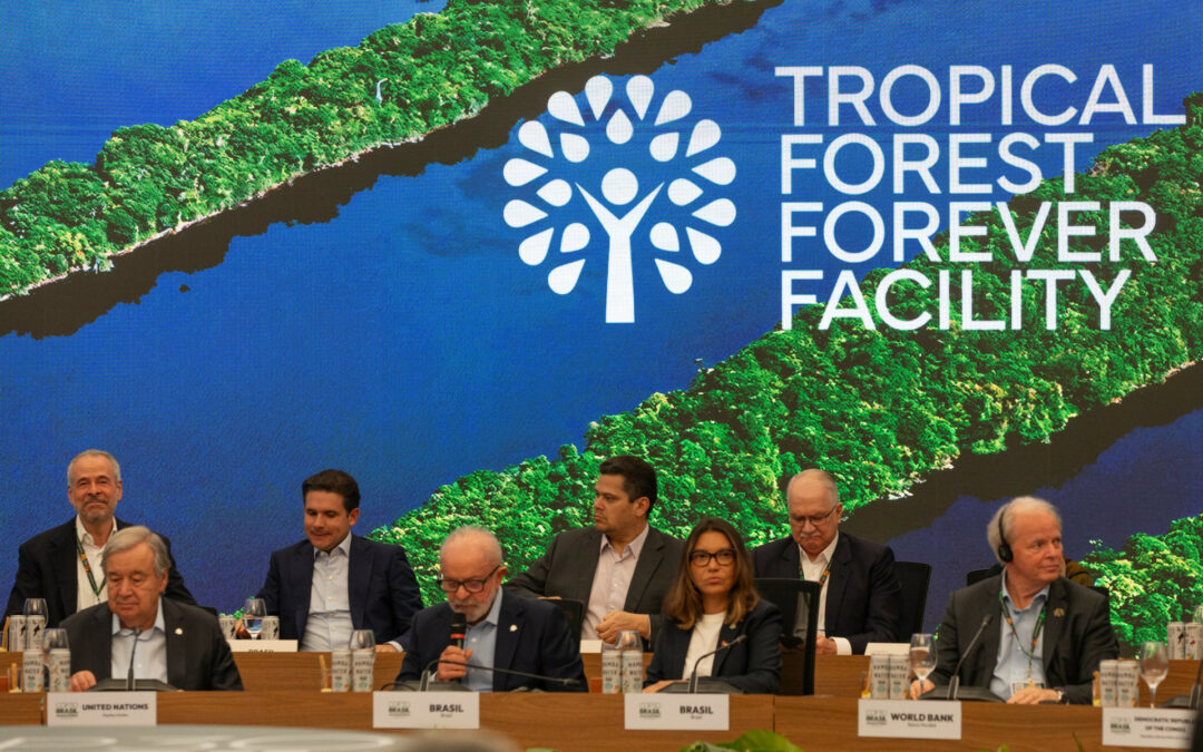 COP30 : Le Fonds pour les forêts tropicales, une victoire en demi-teinte