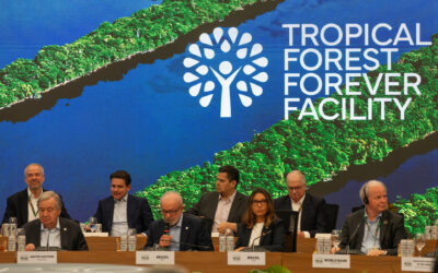 COP30 : Le Fonds pour les forêts tropicales, une victoire en demi-teinte